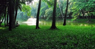 Copertina di Ecosofia, come fondare una nuova cultura di vita a partire dalla giustizia intergenerazionale