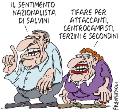 Copertina di La vignetta di Franzaroli