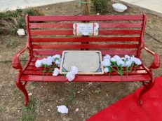 Copertina di A Siracusa nasce la scuola “Eligia e Giulia Ardita”, madre e figlia (mai nata)  uccise da un uomo