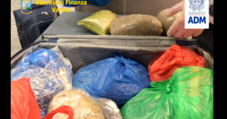 Copertina di Malpensa, arrestato corriere con 14 chili di eroina: la droga nascosta in involucri di terra e spezie – Video