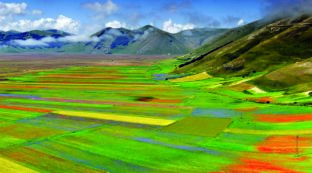 Copertina di La piana di Castellucccio ha bisogno di una gestione sostenibile e senza automobili