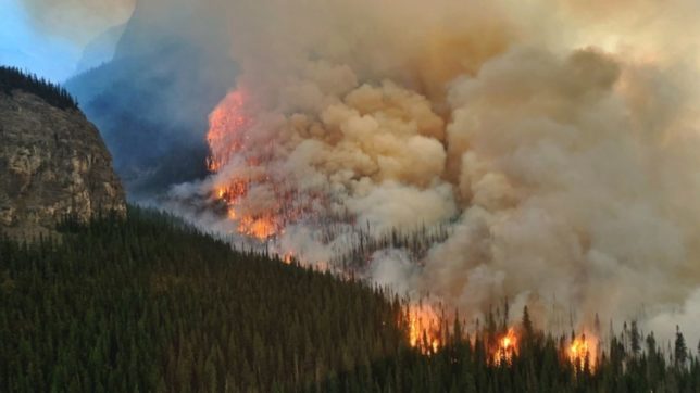 Copertina di Clima, gli incendi ci costano un miliardo l’anno. “Sta iniziando l’età del Pirocene”