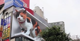 Copertina di Il gatto gigantesco di Tokyo (VIDEO)