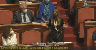 Copertina di Ddl Zan, Malpezzi in Senato: “Centrodestra ha già votato articolo 4, è figlio dell’emendamento ‘salva-idea’ di Costa. E ora vuole toglierlo”