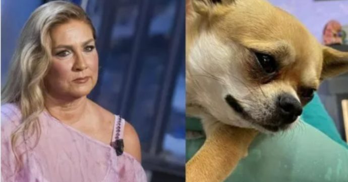 Romina Power in ansia per Taquito: “Gli è entrato un forasacco nel naso”
