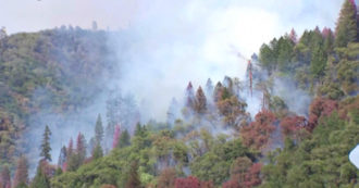 Copertina di California, in fiamme 85mila acri di boschi: il Dixie Fire costringe la popolazione a evacuare – Video