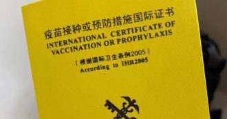 Copertina di Cina, come funziona qui quello che noi chiamiamo green pass
