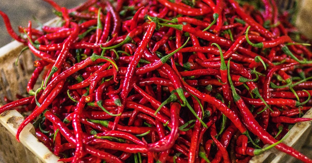 Peperoncino, ma quanto fai bene? Ecco le proprietà realmente confermate dalle ricerche mediche