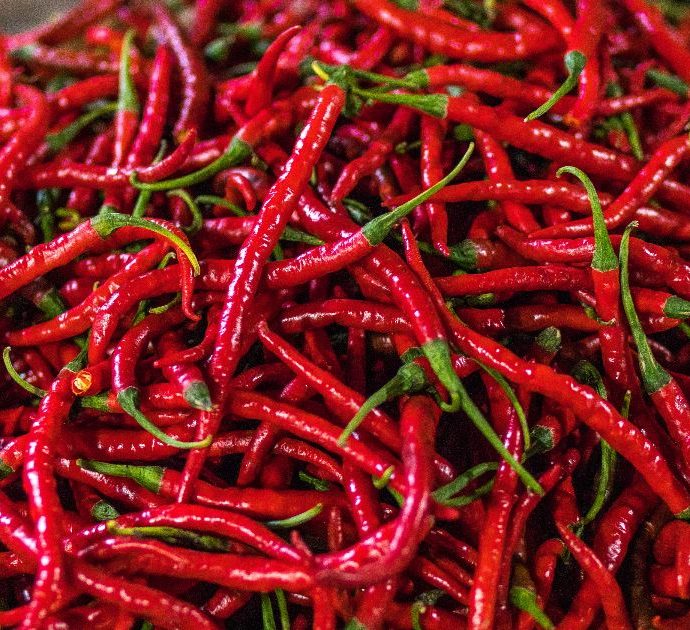 Peperoncino, ma quanto fai bene? Ecco le proprietà realmente confermate dalle ricerche mediche