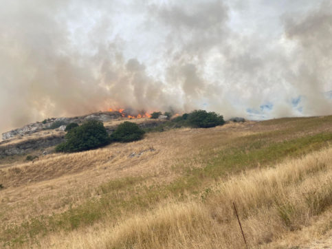 Copertina di Grandi incendi: se non si interviene sulle foreste, quello che è successo in Sardegna può ripetersi altrove
