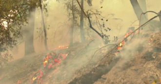 Copertina di Incendi in California, distrutti più di 200mila acri di foreste: la pioggia aiuta i vigili del fuoco – Video