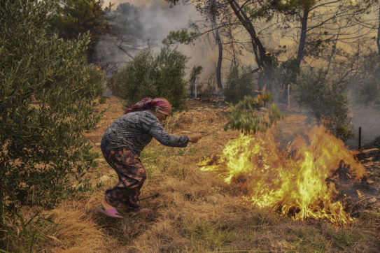 Copertina di Incendi e caldo senza precedenti: a rischio il turismo e la popolarità di Erdogan
