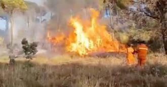 Copertina di Incendi in Sicilia, brucia da tre giorni zona boschiva nell’Ennese. Sul posto canadair ed elicottero