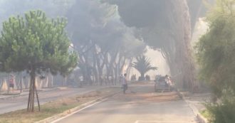 Copertina di Pescara, incendio nella zona sud della città: in fiamme la Pineta Dannunziana. Bagnanti in fuga dalle spiagge (video)