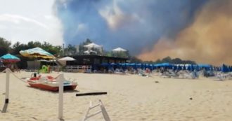 Copertina di Incendi a Pescara, le fiamme vicino alle abitazioni. Fumo anche tra gli ombrelloni: sgomberati gli stabilimenti balneari (video)