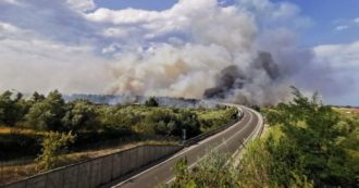 Copertina di Incendi, in Sicilia oltre 250 interventi dei pompieri in 24 ore. Roghi anche in Molise e Abruzzo