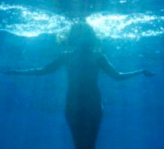 Il Canto delle Sirene – Festival internazionale di Capri, la nuova kermesse culturale diretta da Geppi Gleiieses: ecco di cosa si tratta e il programma completo