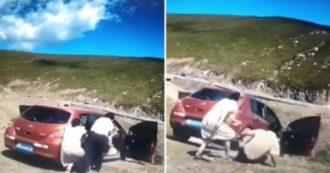 Copertina di Parcheggia sull’orlo del burrone e si dimentica di tirare il freno a mano: l’auto finisce nel vuoto con la moglie intrappolata a bordo – VIDEO