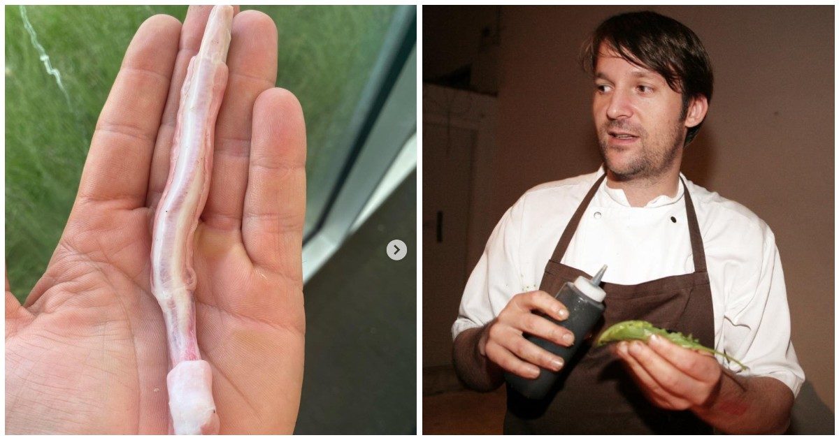 René Redzepi, lo chef stellato pubblica la foto di una parte anatomica di renna: “Non si spreca niente, sapete cos’è?” Social scatenati