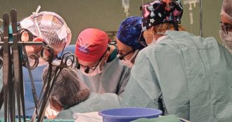 Copertina di Ri-trapianto di rene collegato al pancreas, a Torino intervento mai eseguito salva bimbo di 4 anni