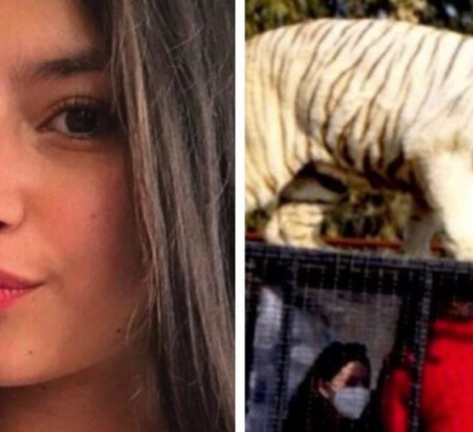 I guardiani dello zoo lasciano la gabbia della tigre aperta: ragazza di 21 anni muore sbranata dal felino