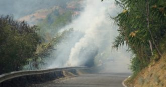 Copertina di Incendi, il capo della Protezione civile in Calabria: “Le Regioni devono tutelare il territorio e pensare alla prevenzione”