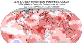 Copertina di Agenzia Usa per il clima: “Luglio 2021 il mese più caldo di sempre. Nell’emisfero Nord temperature di 1,5 gradi sopra la media”