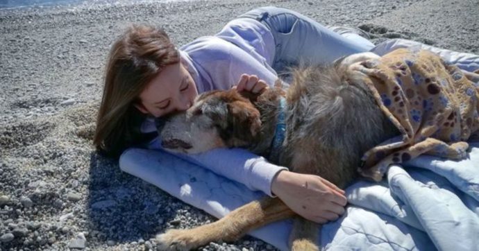 Premio Fedeltà del Cane, a Camogli storie d’amore e coraggio a quattro zampe. Debora Rizzo: “Curo e aiuto i cani vecchi, disabili, malati”