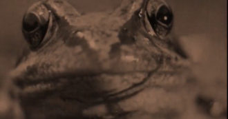 Copertina di ‘Dal pianeta degli umani’, ovvero la ripetizione della rimozione