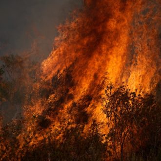 Copertina di Incendi in Francia: in Gironda evacuati quattromila turisti. Nella regione di Bordeaux distribuite 3,5 milioni di mascherine