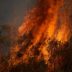 Copertina di Incendi in Francia: in Gironda evacuati quattromila turisti. Nella regione di Bordeaux distribuite 3,5 milioni di mascherine