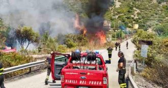 Copertina di Incendi in Calabria, 78enne trovato morto nel suo terreno: è la quinta vittima delle fiamme