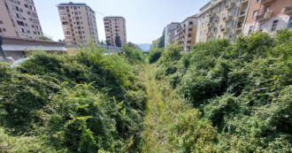 Copertina di Torino, la metro 2? Significa rinunciare al Trincerone, un bosco in città