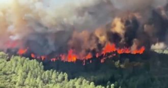 Copertina di Incendi e desertificazione, oltre 150mila ettari a fuoco nel 2021. Dossier Europa Verde: “Il 10% del territorio a rischio. Sicilia la più colpita”