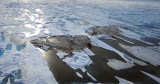 Copertina di Scoperta l’isola più settentrionale del pianeta: Si trova in Groenlandia, ma potrebbe essere presto sommersa