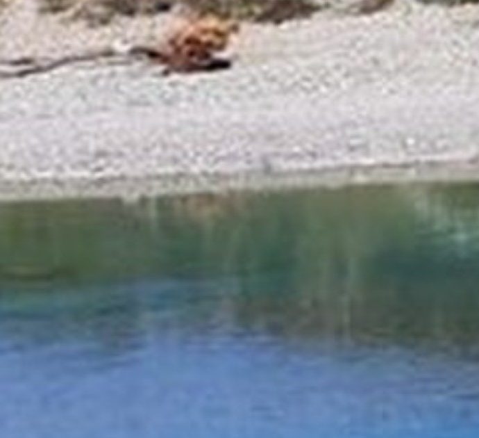 Allarme batteri tossici nel fiume Magra: vietati bagni, scampagnate e grigliate