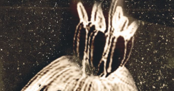 I fiori dal male: le piante sopravvissute a Chernobyl