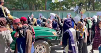Copertina di Afghanistan, protesta contro il Pakistan di fronte all’ambasciata: i talebani sparano per disperdere i manifestanti – Video
