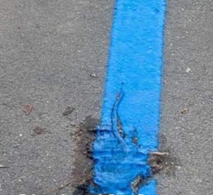 Strisce blu del parcheggio dipinte su un ratto: “Come hanno fatto a non accorgersene?”