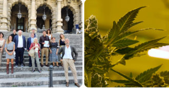 Copertina di Referendum sulla cannabis, parte la raccolta firme online. Associazione Coscioni: “Anche così si combatte la mafia”