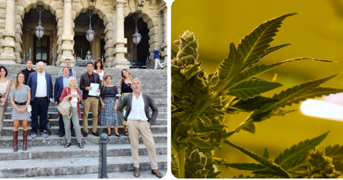 Referendum sulla cannabis, parte la raccolta firme online. Associazione Coscioni: “Anche così si combatte la mafia”