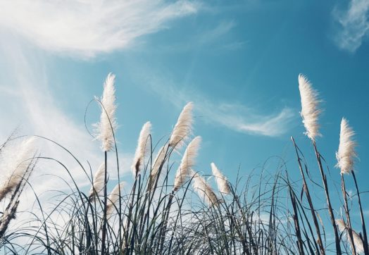 I giovani conoscono l’importanza dell’aria pulita, a differenza dei governanti