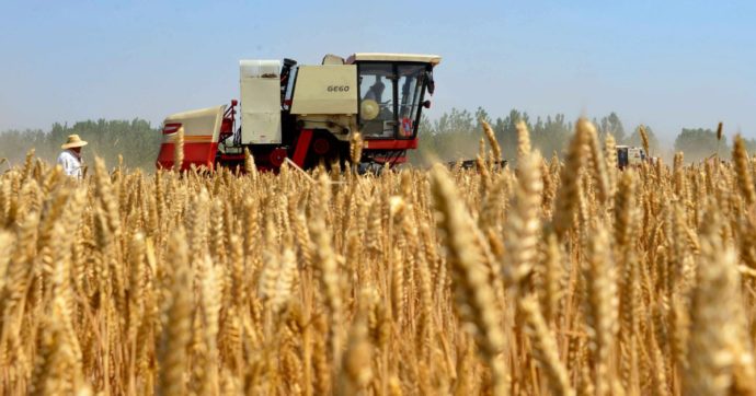 L’impatto della guerra in Ucraina sui mercati agroalimentari sarà drammatico