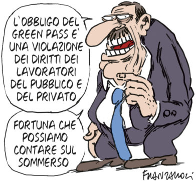 Copertina di La vignetta di Franzaroli