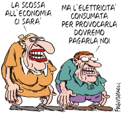 Copertina di La vignetta di Franzaroli