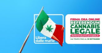 Copertina di Referendum Cannabis legale, il punto stampa sulla raccolta firme con Magi (+Europa) e Cappato (Associazione Coscioni): la diretta tv