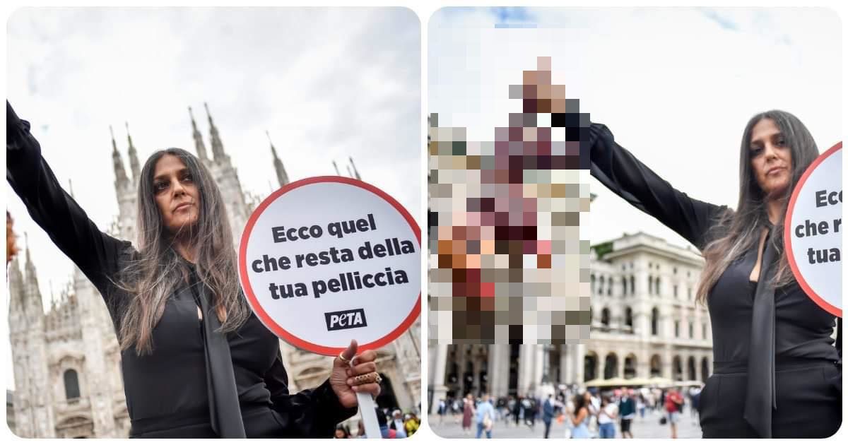 Rosita Celentano protesta con una ‘volpe scuoiata’ in mano: “Pellicce da cafoni, mi vergogno dell’Italia”