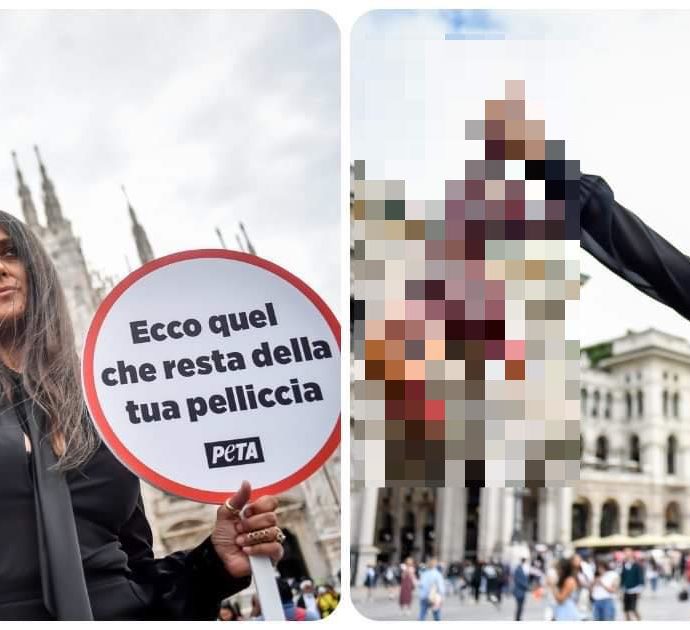 Rosita Celentano protesta con una ‘volpe scuoiata’ in mano: “Pellicce da cafoni, mi vergogno dell’Italia”
