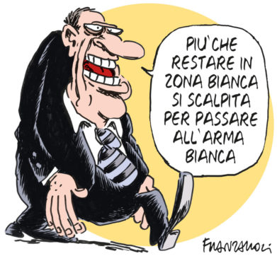 Copertina di La vignetta di Franzaroli