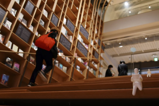 Copertina di Nasce la biblioteca Murakami: libri, manoscritti originali e 20 mila vinili dello scrittore